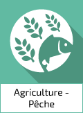 Groupe Agriculture, sylviculture et pêche